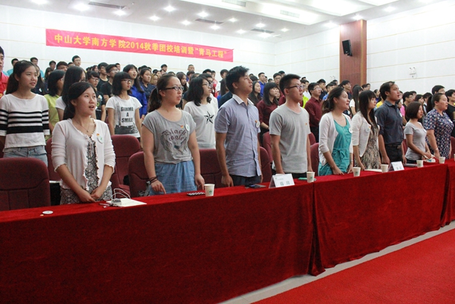 IMG 4595