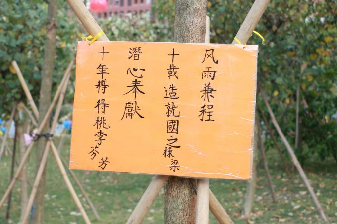 校友树指示牌.JPG
